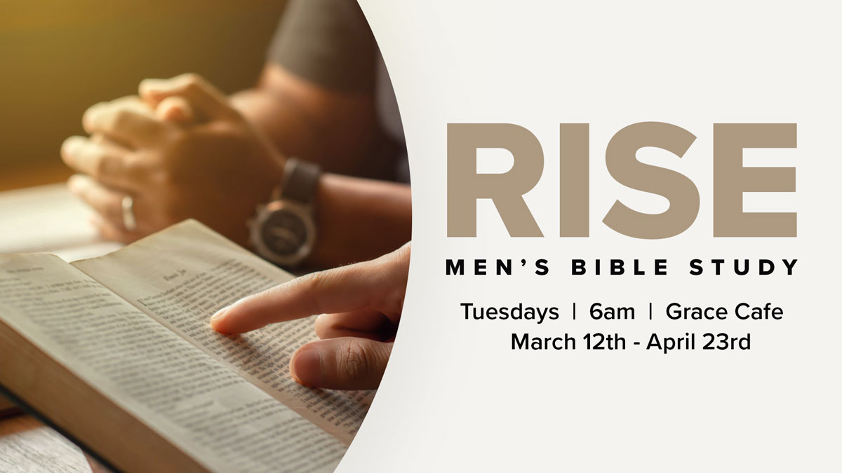 WEB---Rise-Men's-Bible-Study