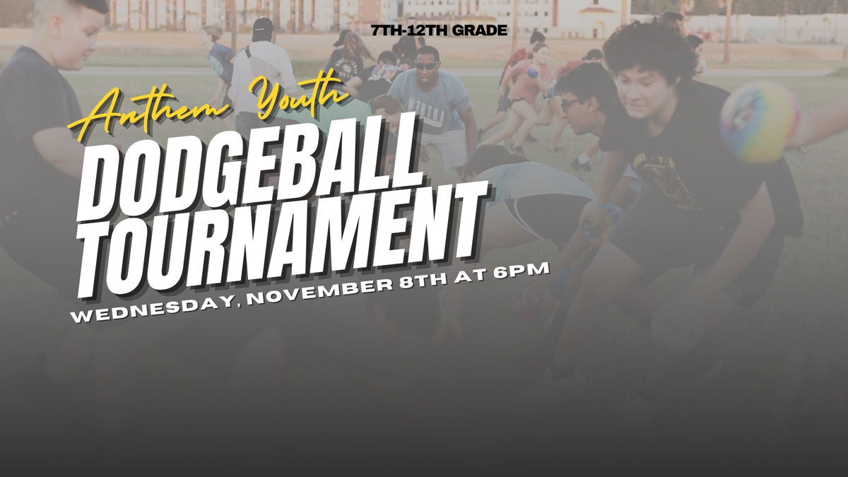 Web Dodgeball2023